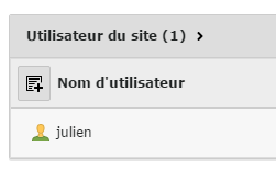 Création Intranet