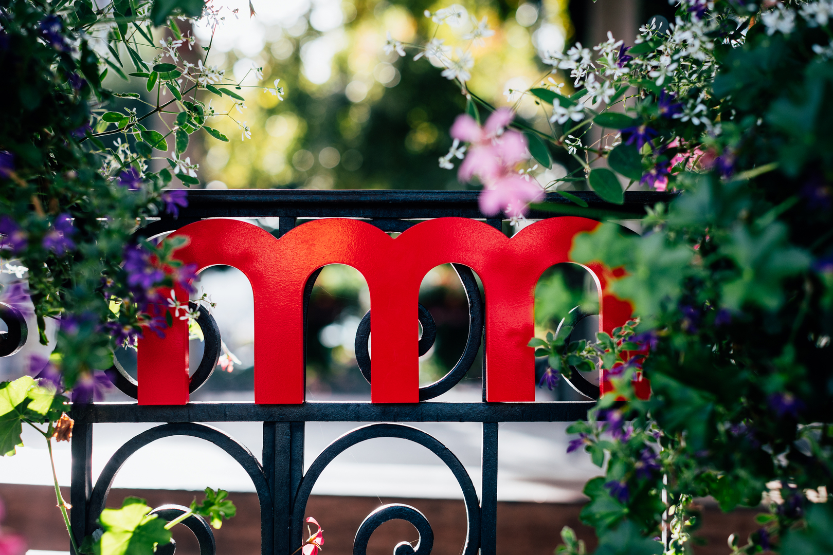 Image - 618A2558.jpg