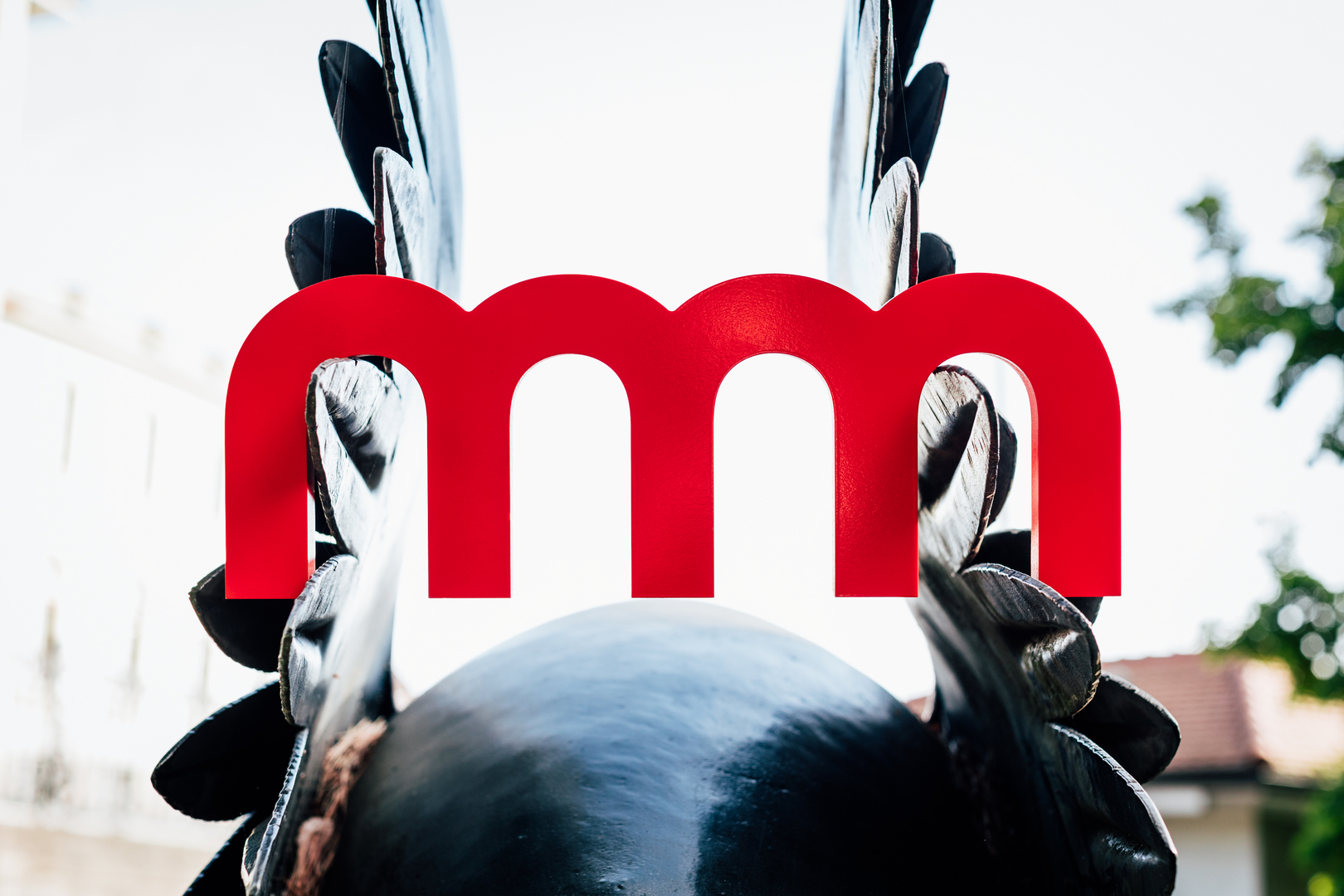 Image - 618A2571.jpg