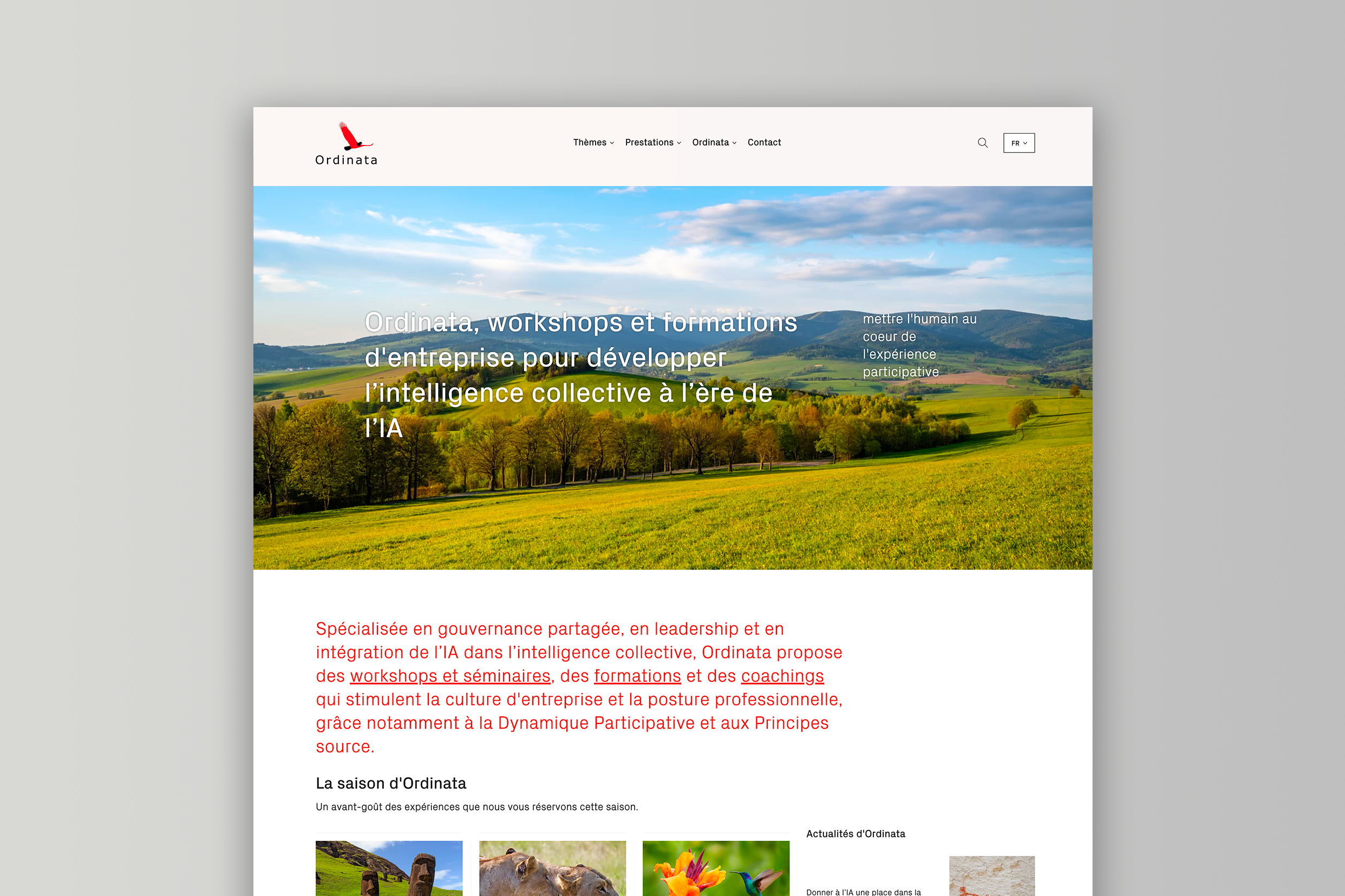 Image - 